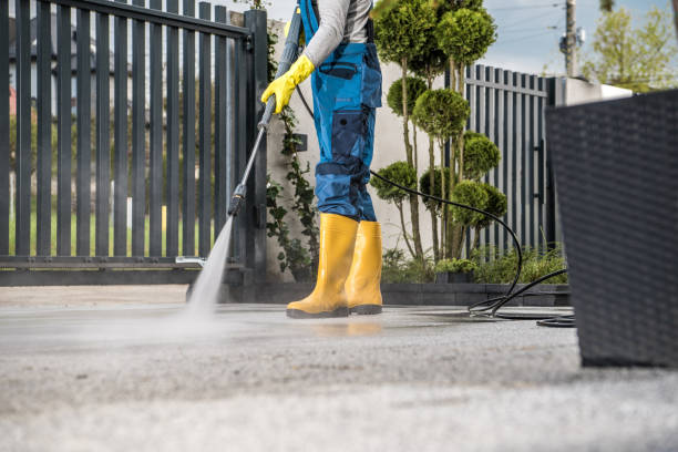 Best Roof Pressure Washing  in Forestdale, MA